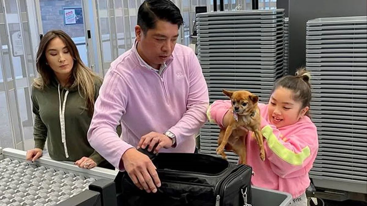 Traveling with Pets